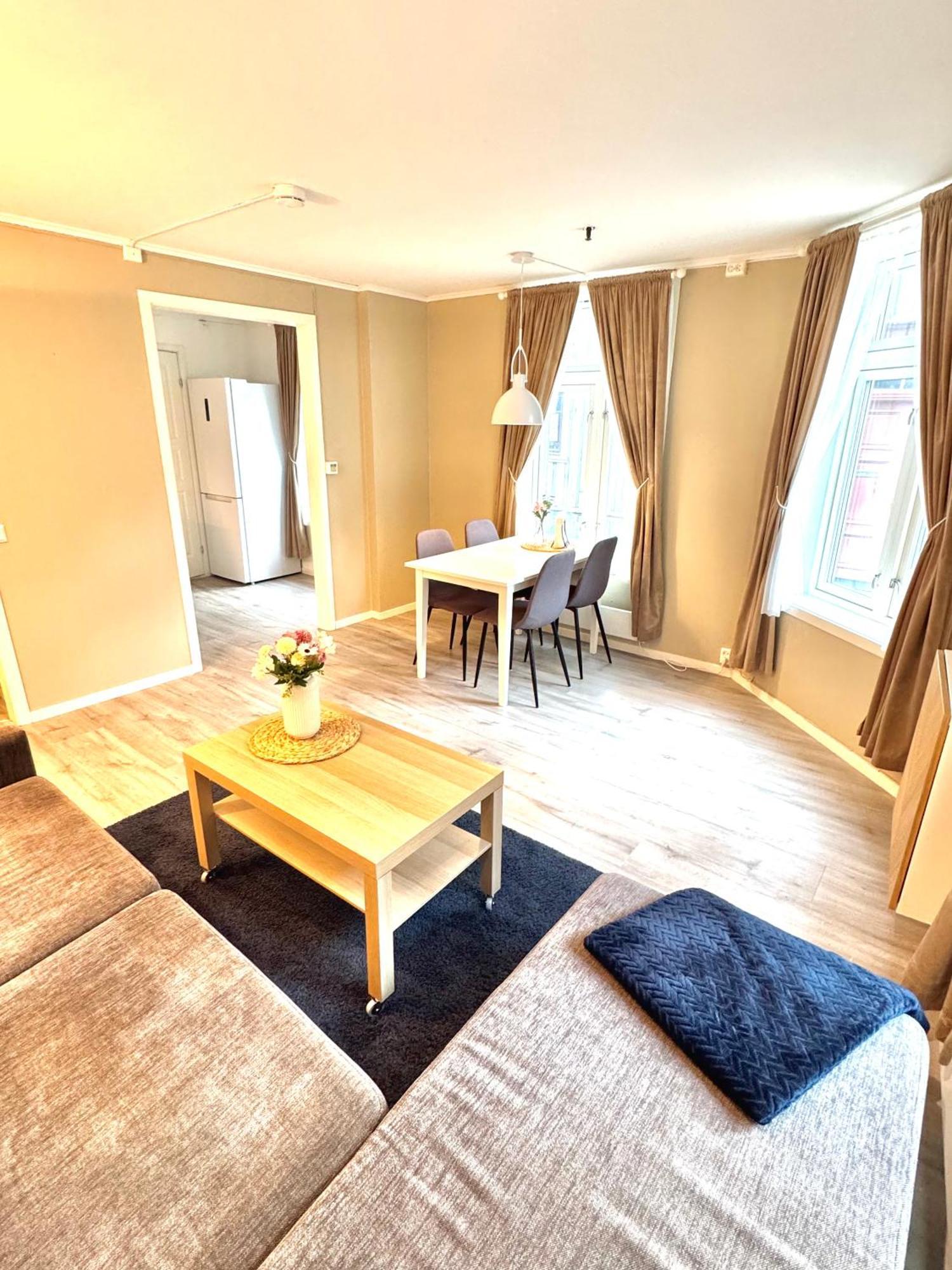 Stor Attraktiv Studioleilighet I Sentrum Appartement