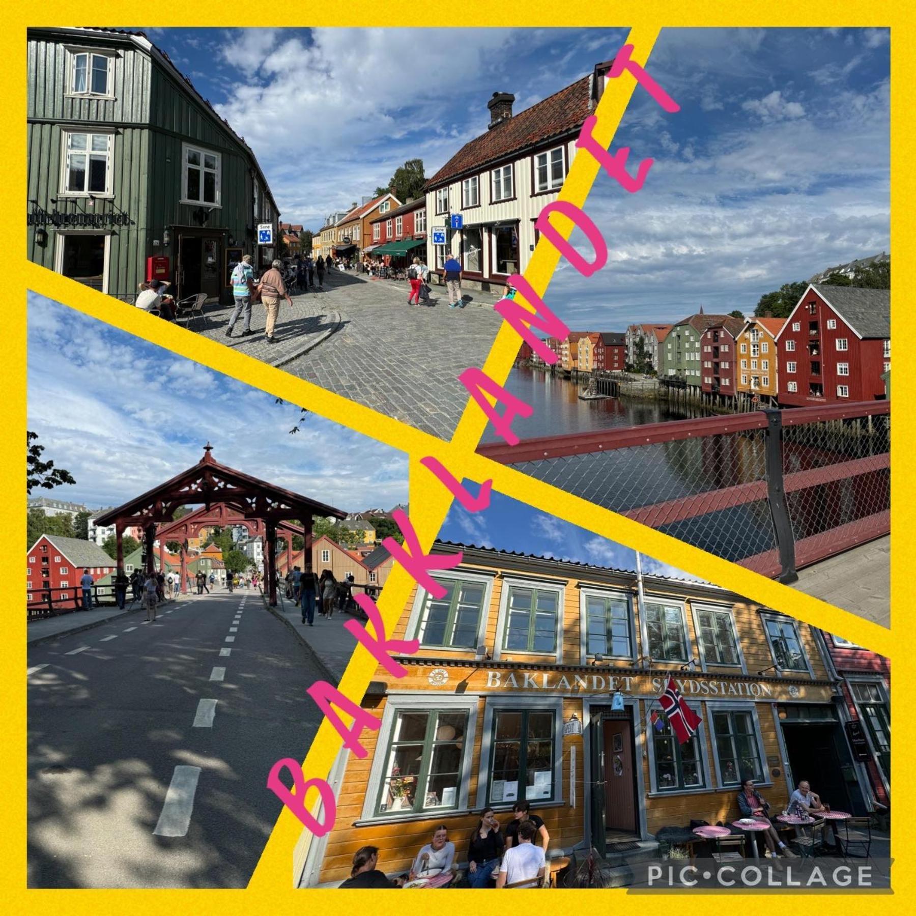 Appartement Stor Attraktiv Studioleilighet I Sentrum Trondheim